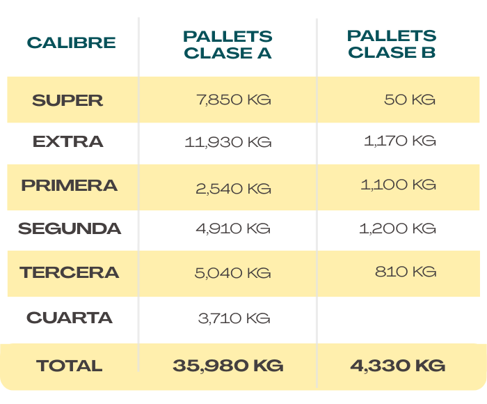 Inventario de aguacate Hass
